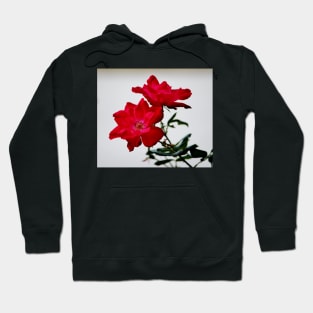 Color Me Red Flowers Hoodie